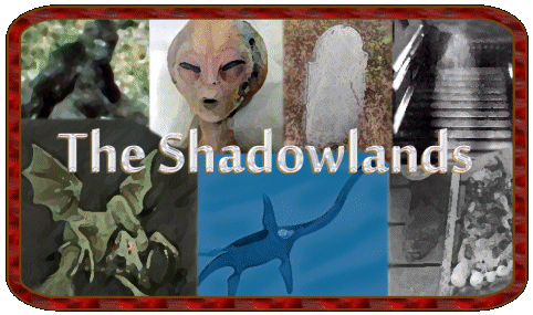 part-shadowlands